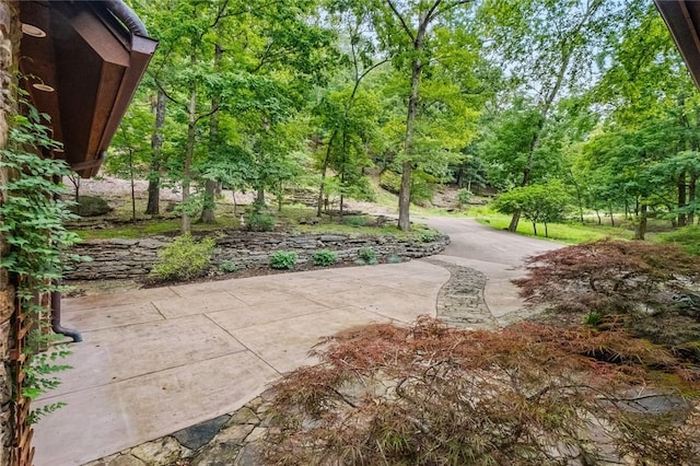 150 Jackson Cove Cres, Eureka Springs, AR 72631 - view of patio