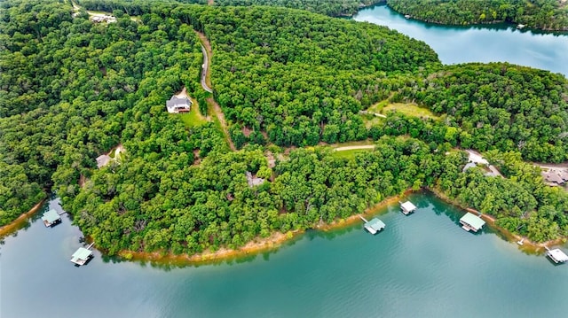 150 Jackson Cove Cres, Eureka Springs, AR 72631 - aerial view of property's location with a nearby body of water and a heavily wooded area