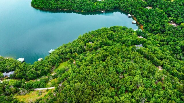 150 Jackson Cove Cres, Eureka Springs, AR 72631 - aerial view of property's location featuring a large body of water and a forest