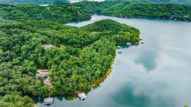150 Jackson Cove Cres, Eureka Springs, AR 72631 - bird's eye view of a large body of water