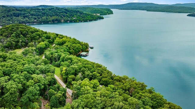 150 Jackson Cove Cres, Eureka Springs, AR 72631 - bird's eye view of a water and mountain view
