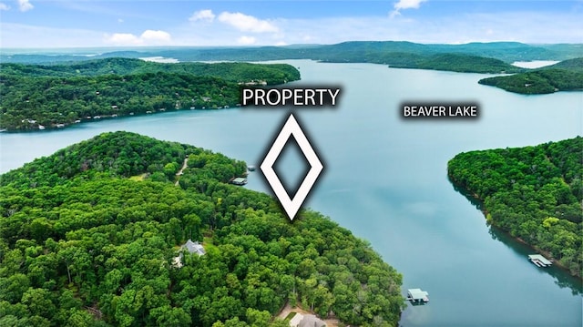 150 Jackson Cove Cres, Eureka Springs, AR 72631 - aerial view of a large body of water and a forest