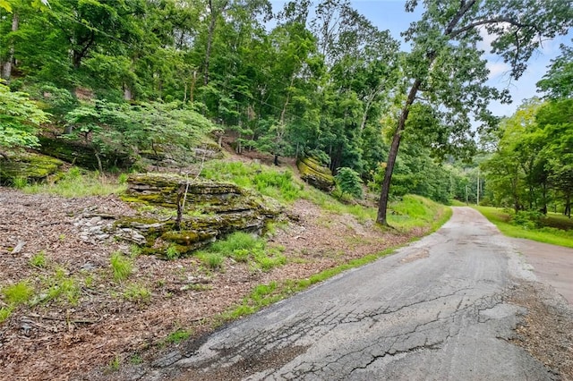 150 Jackson Cove Cres, Eureka Springs, AR 72631 - view of asphalt street featuring a forest view