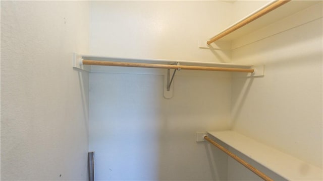 404 NE Whitney St, Bentonville, AR 72712 - view of spacious closet