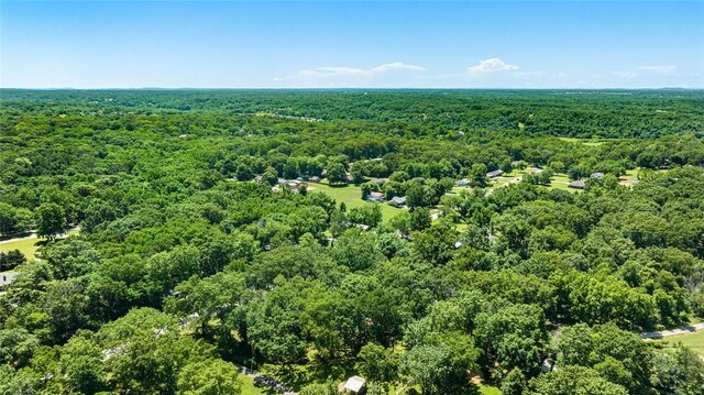 1330 S Curtis Ave, Pea Ridge, AR 72751 - aerial view of a forest