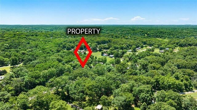 1330 S Curtis Ave, Pea Ridge, AR 72751 - photo 39