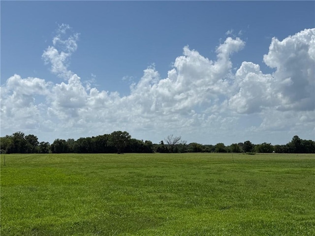 000 Earl Smith Rd, Locust Grove, OK 74352 - photo 4