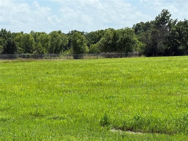 000 Earl Smith Rd, Locust Grove, OK 74352 - photo 5
