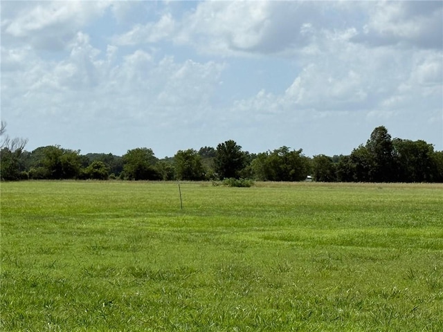 000 Earl Smith Rd, Locust Grove, OK 74352 - photo 6