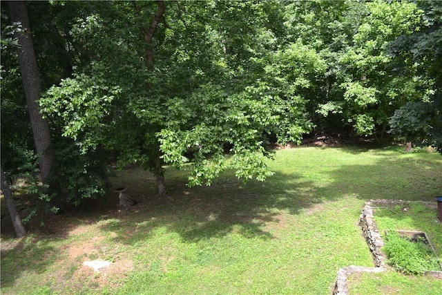 6 Hampstead Ln, Bella Vista, AR 72714 - view of grassy yard