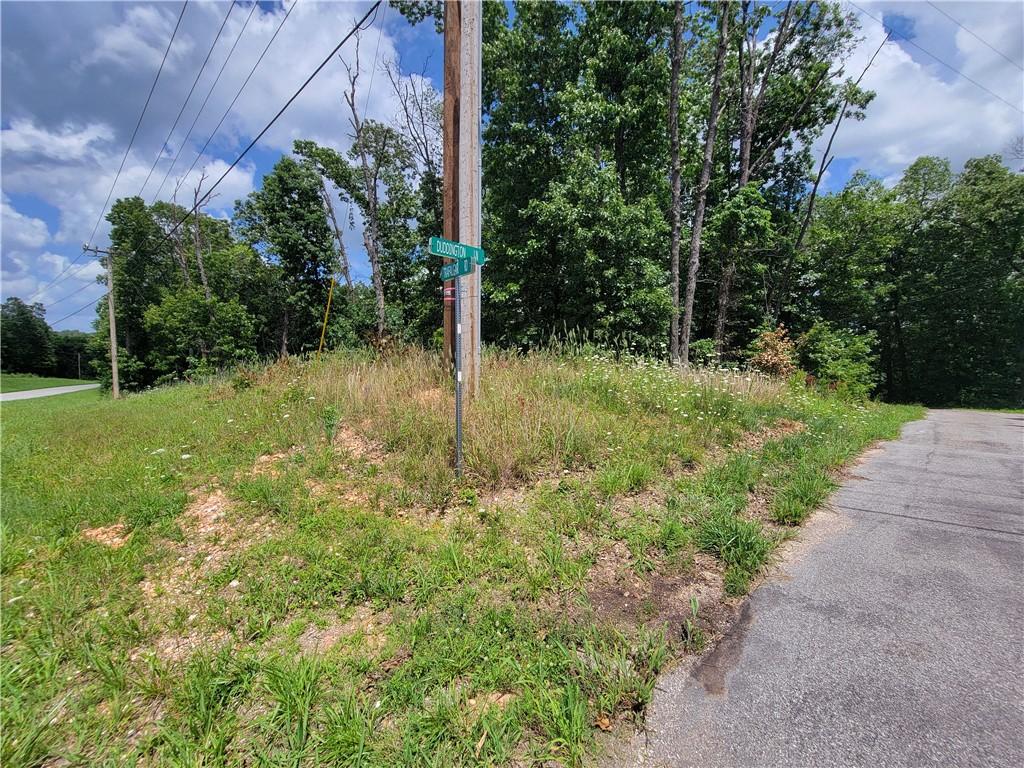 LOT19 Duddington Ln, Bella Vista, AR 72714 - photo 1