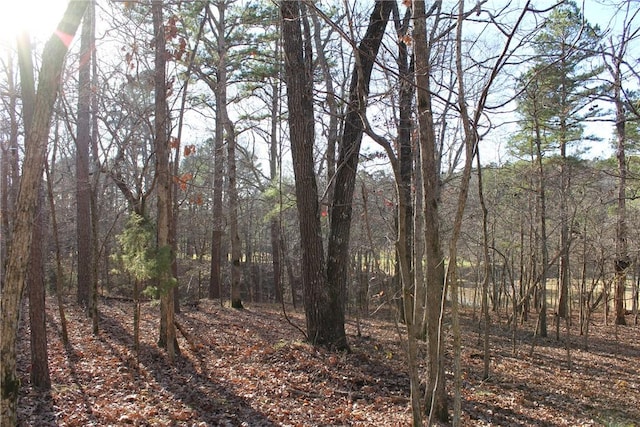 2475 Augusta Dr, Kansas, OK 74347 - photo 11