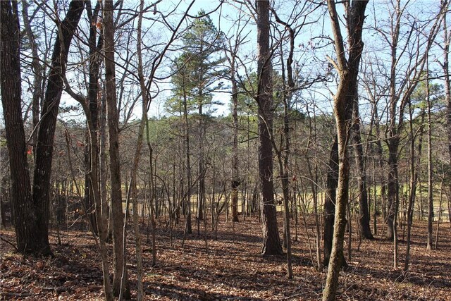 2475 Augusta Dr, Kansas, OK 74347 - photo 15