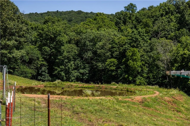 16175 N Cove Creek Wc 21 Rd, Prairie Grove, AR 72753 - view of yard featuring a view of trees and a water view