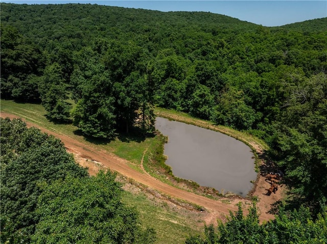 16175 N Cove Creek Wc 21 Rd, Prairie Grove, AR 72753 - photo 48
