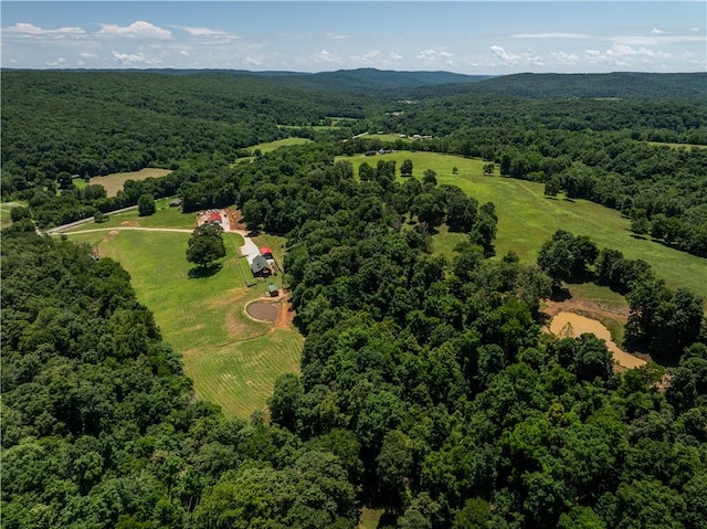16175 N Cove Creek Wc 21 Rd, Prairie Grove, AR 72753 - photo 49