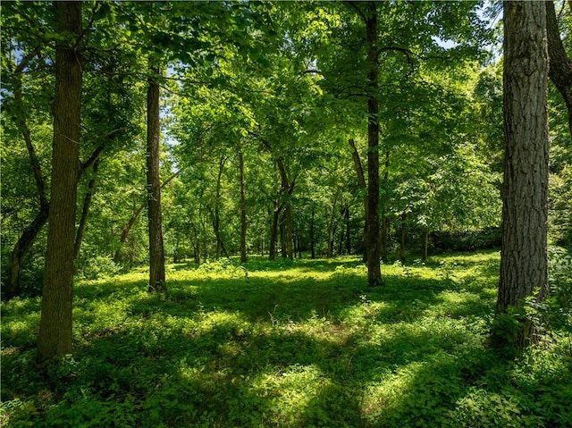 16175 N Cove Creek Wc 21 Rd, Prairie Grove, AR 72753 - photo 52