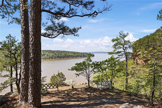 1 Rimrock Rd, Russellville, AR 72802 - photo 51
