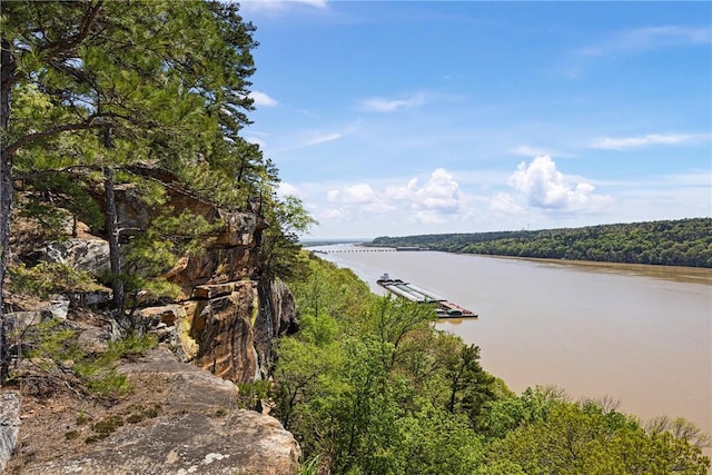 1 Rimrock Rd, Russellville, AR 72802 - photo 50