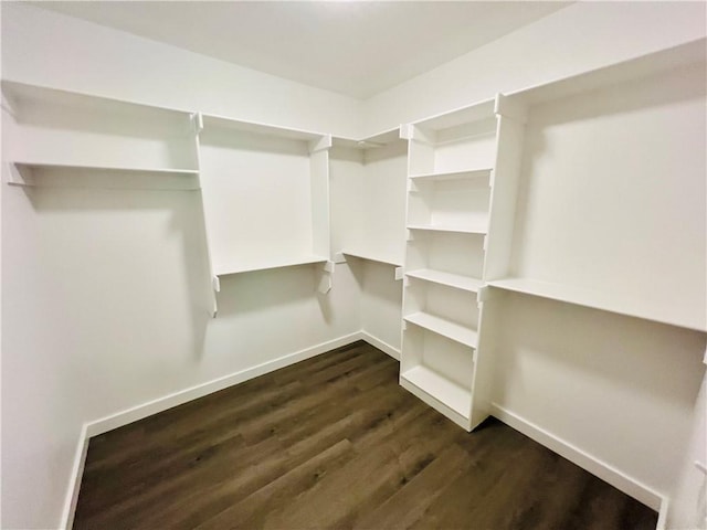 106 Phillips Ave, Huntsville, AR 72740 - spacious closet with dark wood finished floors