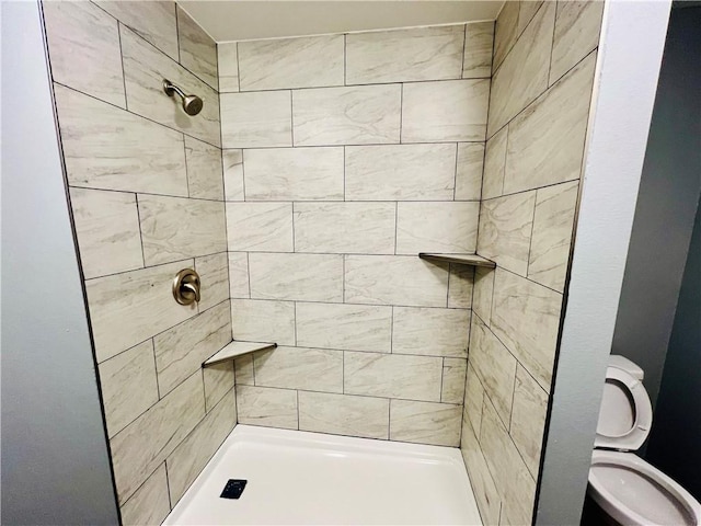 106 Phillips Ave, Huntsville, AR 72740 - bathroom featuring tiled shower