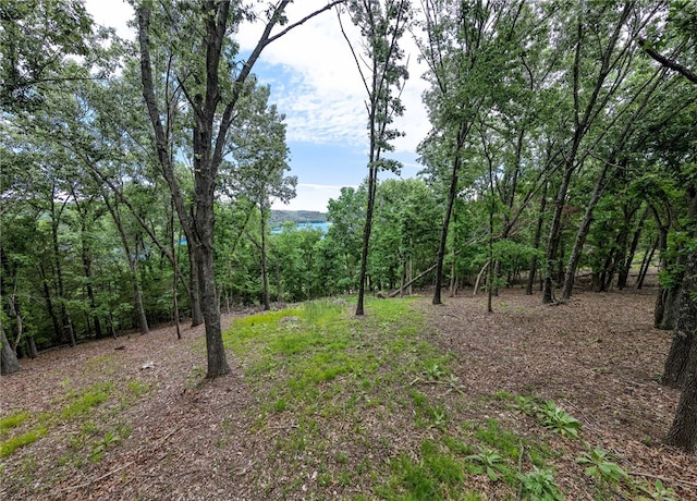 TRACT1CEDARRAILRIDGE Whispering Hls, Garfield, AR 72732