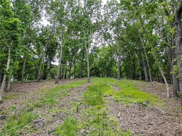TRACT1CEDARRAILRIDGE Whispering Hls, Garfield, AR 72732