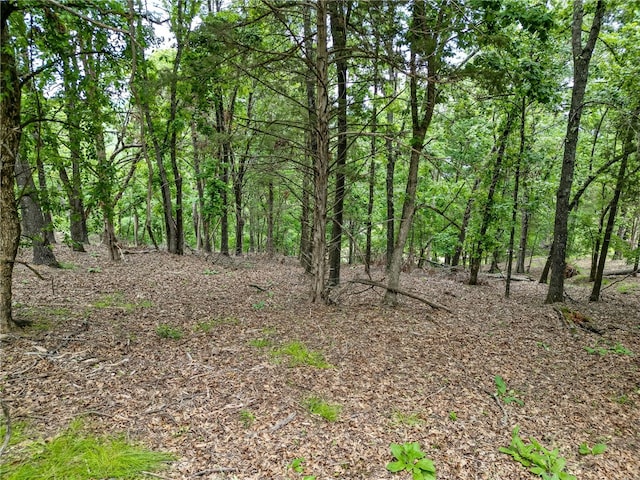 TRACT1CEDARRAILRIDGE Whispering Hls, Garfield, AR 72732