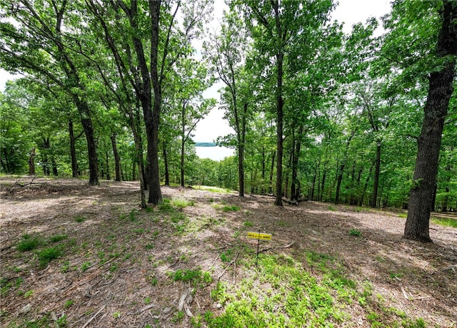 TRACT4CEDARRAILRIDGE Whispering Hls, Garfield, AR 72732 - photo 4