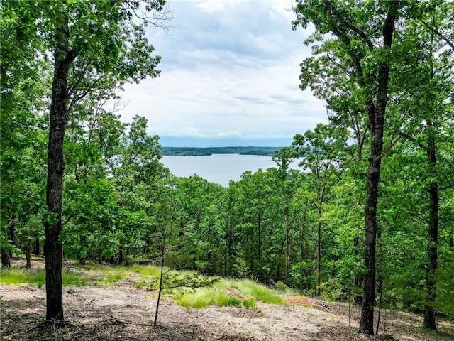 TRACT4CEDARRAILRIDGE Whispering Hls, Garfield, AR 72732 - photo 5