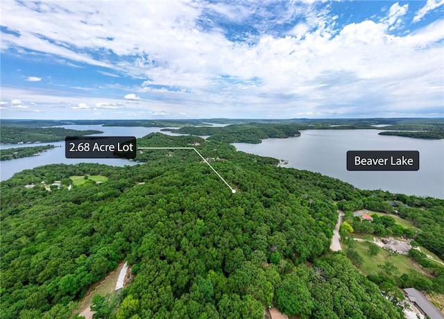 TRACT4CEDARRAILRIDGE Whispering Hls, Garfield, AR 72732 - photo 8
