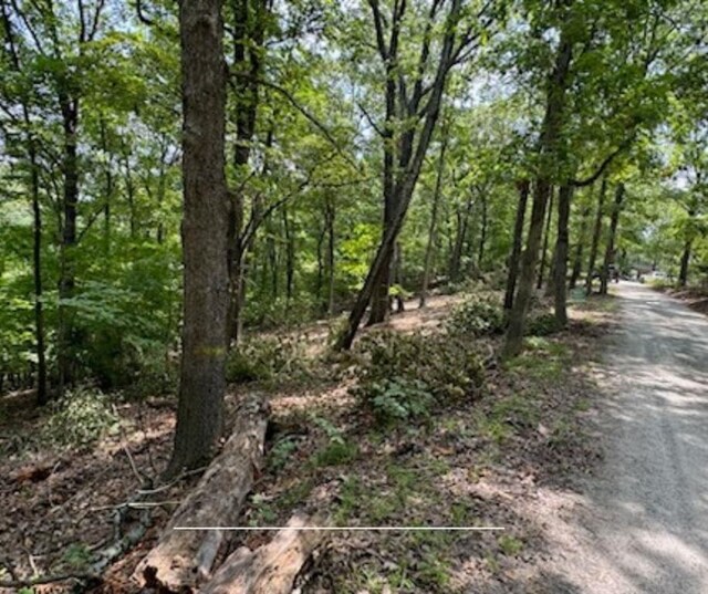 TBD Bel Lago Dr, Eureka Springs, AR 72632 - photo 4