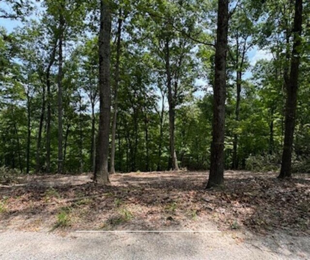 TBD Bel Lago Dr, Eureka Springs, AR 72632 - photo 5
