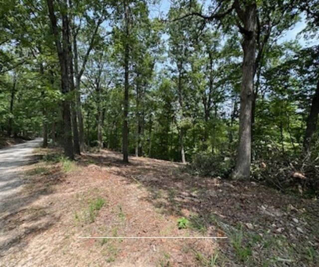 TBD Bel Lago Dr, Eureka Springs, AR 72632 - photo 6