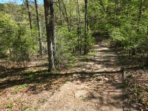 TBD Bel Lago Dr, Eureka Springs, AR 72632 - photo 8