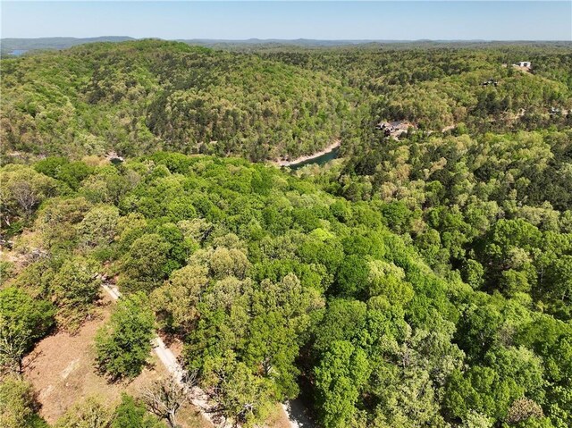 TBD Bel Lago Dr, Eureka Springs, AR 72632 - photo 14