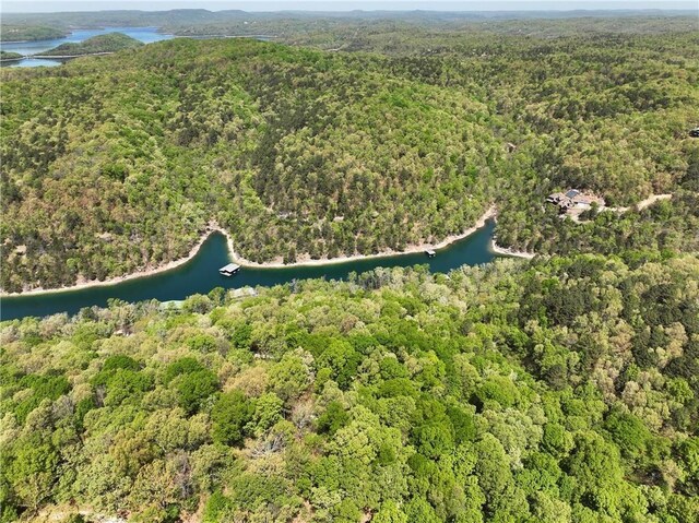 TBD Bel Lago Dr, Eureka Springs, AR 72632 - photo 16