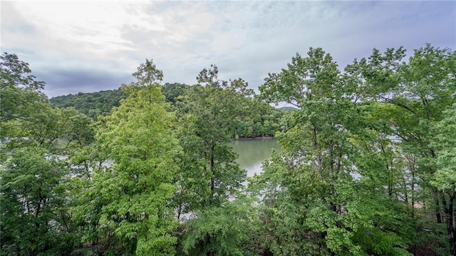 10575 Jasper Ln, Rogers, AR 72756 - photo 3