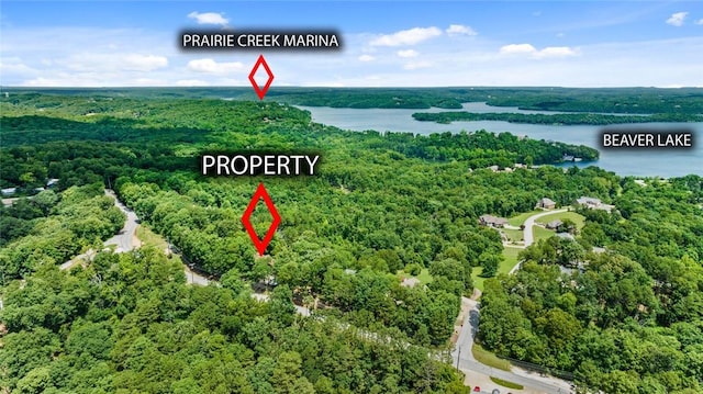 16048 Cypress Ln, Rogers, AR 72756 - drone / aerial view of a forest and a nearby body of water