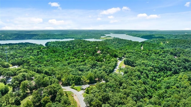 16048 Cypress Ln, Rogers, AR 72756 - drone / aerial view of a heavily wooded area and a large body of water