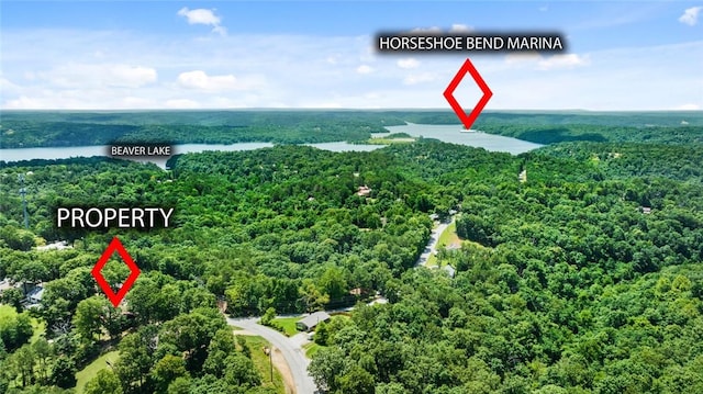 16048 Cypress Ln, Rogers, AR 72756 - drone / aerial view of a forest and a nearby body of water