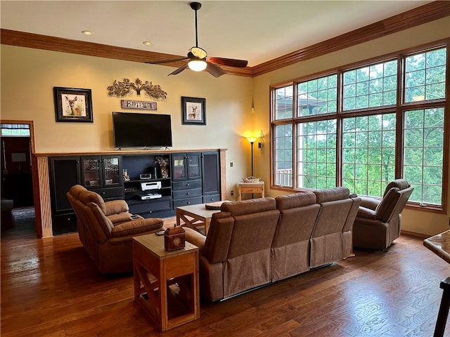 9364 Everest Pl, Rogers, AR 72756 - living room featuring a ceiling fan, crown molding, and dark wood finished floors