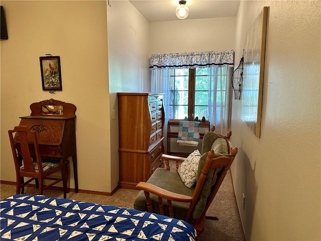 9364 Everest Pl, Rogers, AR 72756 - carpeted bedroom with baseboards