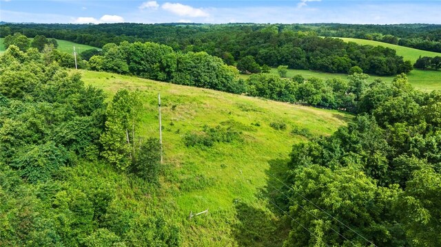 63155 S 4700, Watts, OK 74964 - bird's eye view of a forest