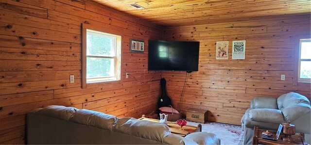 29 County Road 240, Eureka Springs, AR 72632 - photo 32