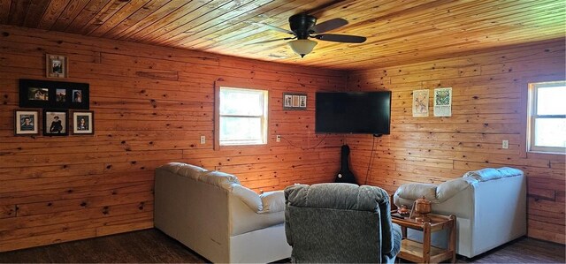 29 County Road 240, Eureka Springs, AR 72632 - photo 36