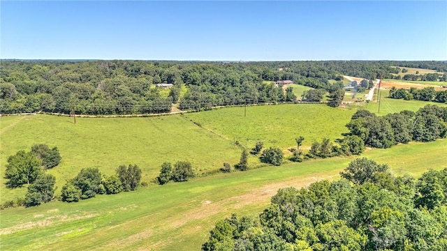13501 Haden Rd, Bentonville, AR 72713 - photo 6