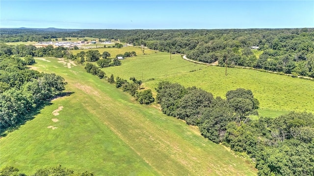 13501 Haden Rd, Bentonville, AR 72713 - photo 7