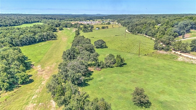 13501 Haden Rd, Bentonville, AR 72713 - photo 8