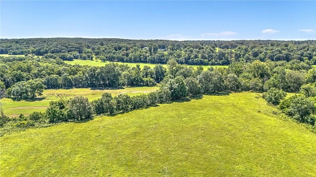 13501 Haden Rd, Bentonville, AR 72713 - photo 15